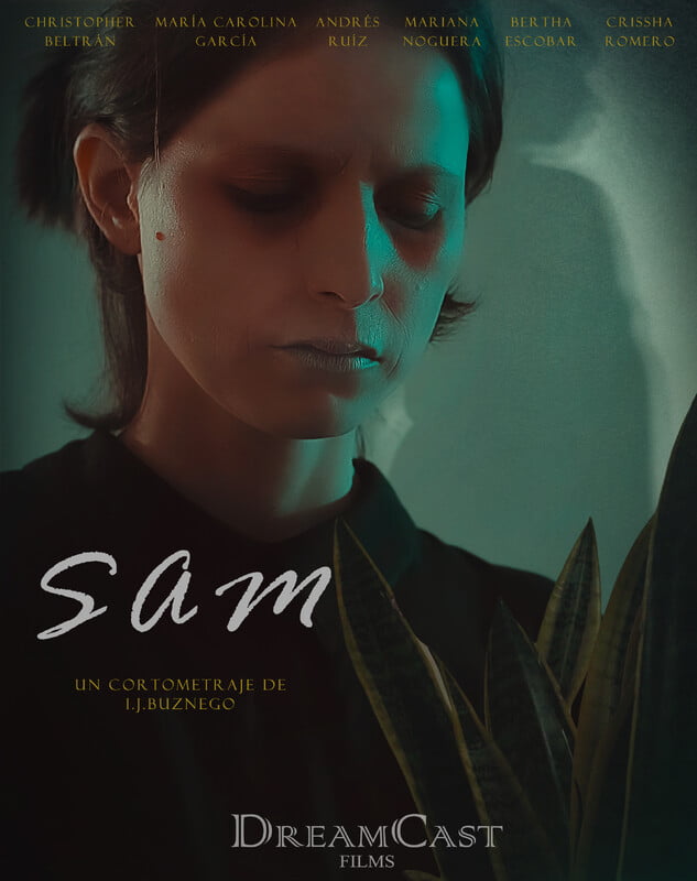 Poster de SAM